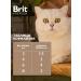 Brit Feed for cats Wet 85g x 14 pcs - Buy Online on GoSupps.com