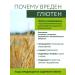 ETONOVO Vermichel without glutena rake fanchosis organic - Buy Online on GoSupps.com