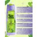 Vitex Shampoo 2 in 1 Aloe hair and Lime Crazy Cactus Likeme - Buy Online on GoSupps.com