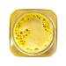 Medomir Cream-memes with turmeric and ginger 330 gr. Collection of 2024 - Buy Online on GoSupps.com