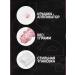 dope Pigment -for -eyelid No. 6 - Light Pink - Buy Online on GoSupps.com