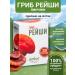 ALFIT Reishi mushroom in Altai capsules Lynji Ganoderma