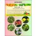 Secrets of Altai Phytochai Altai herbal tea collection for immunity - Buy Online on GoSupps.com