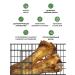 Top Lap Bone for dogs of large breeds with veins and cartilage - Buy Online on GoSupps.com