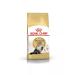 Royal Canin Person adult adult cats of Persian breed 4 kg - Buy Online on GoSupps.com