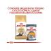 Royal Canin Person adult adult cats of Persian breed 4 kg - Buy Online on GoSupps.com