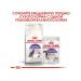 Royal Canin Sterilized adult sterilized cats 2kg - Buy Online on GoSupps.com
