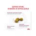 ROYAL CANIN Renal cat food chronic renal failure of 4 kg - Buy Online on GoSupps.com