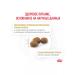 Royal Canin Urinary S o cat food treatment and prevention of ICD 7kg - Buy Online on GoSupps.com