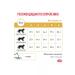 Royal Canin Urinary S o cat food treatment and prevention of ICD 7kg - Buy Online on GoSupps.com