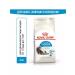 ROYAL CANIN Indoor Long Hair feed for adult long -haired cats 2kg
