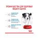 ROYAL CANIN Dry food for small breed puppies 4 kg - Buy Online on GoSupps.com
