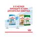 ROYAL CANIN Dry food for small breed puppies 4 kg - Buy Online on GoSupps.com