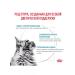 Royal Canin Skin & Coat sterilized cat food skin problems 3.5 kg - Buy Online on GoSupps.com