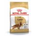 ROYAL CANIN Cocker adult dogs breed Coker Spaniel 3kg - Buy Online on GoSupps.com