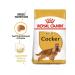 ROYAL CANIN Cocker adult dogs breed Coker Spaniel 3kg - Buy Online on GoSupps.com