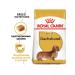 ROYAL CANIN Dachshund adult adult dogs of a fee of a dachshund 7.5 kg - Buy Online on GoSupps.com