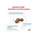 ROYAL CANIN Hypoallergenic feed of medium large dogs with 2kg allergies - Buy Online on GoSupps.com