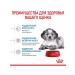 ROYAL CANIN Dry food for medium -sized puppies 3 kg - Buy Online on GoSupps.com