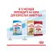 ROYAL CANIN Dry food for medium -sized puppies 3 kg - Buy Online on GoSupps.com