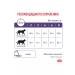 ROYAL CANIN Neuthed food for sterilized cats weight control 300g - Buy Online on GoSupps.com