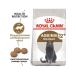 ROYAL CANIN Sterilated Ageing 12+ food of older sterilized cats 4 kg - Buy Online on GoSupps.com