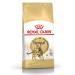 Royal Canin Bengal adult adult cats Bengal 2kg - Buy Online on GoSupps.com