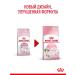 ROYAL CANIN Dry food for kittens Kitten with a bird 1.2 kg - Buy Online on GoSupps.com