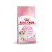 ROYAL CANIN Dry food for kittens Kitten with a bird 1.2 kg - Buy Online on GoSupps.com