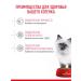 ROYAL CANIN Dry food for kittens Kitten with a bird 1.2 kg - Buy Online on GoSupps.com