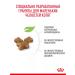 ROYAL CANIN Dry food for kittens Kitten with a bird 1.2 kg - Buy Online on GoSupps.com