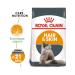 ROYAL CANIN Hair & skin feed adult cat care skin care and 10 kg wool - Buy Online on GoSupps.com