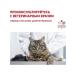 ROYAL CANIN GastroinTestinal Fiber Response cat food for constipation 2kg - Buy Online on GoSupps.com