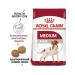 ROYAL CANIN Medium adult adult medium dogs 3kg - Buy Online on GoSupps.com