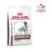 Royal Canin GastroinTestinal Low Fat Form for dogs weight control 12kg - Buy Online on GoSupps.com