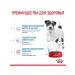 ROYAL CANIN Mini Starter storm for small breed puppies up to 2 months 1 kg - Buy Online on GoSupps.com