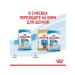 ROYAL CANIN Mini Starter storm for small breed puppies up to 2 months 1 kg - Buy Online on GoSupps.com