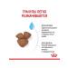 ROYAL CANIN Mini Starter storm for small breed puppies up to 2 months 1 kg - Buy Online on GoSupps.com