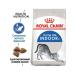 ROYAL CANIN Indoor feed for adult cats living in room 2kg - Buy Online on GoSupps.com