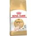 ROYAL CANIN SPHYNX Adult adult cats of the sphinx 10kg breed - Buy Online on GoSupps.com