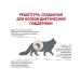 Royal Canin Urinary S o cat food treatment and prevention of ICD 1.5 kg - Buy Online on GoSupps.com