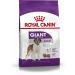 Royal Canin Giant adult adult giant dogs 4 kg - Buy Online on GoSupps.com