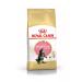 ROYAL CANIN Dry food for kittens of Main-kun breeds 4 kg - Buy Online on GoSupps.com