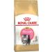 ROYAL CANIN Persian Kitten Form for Kittens of Persian breed 2kg - Buy Online on GoSupps.com