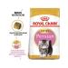 ROYAL CANIN Persian Kitten Form for Kittens of Persian breed 2kg - Buy Online on GoSupps.com