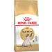 ROYAL CANIN Siamese adult adult cats of Siamese breed 2kg - Buy Online on GoSupps.com
