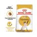 ROYAL CANIN Siamese adult adult cats of Siamese breed 2kg - Buy Online on GoSupps.com