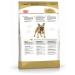 ROYAL CANIN French bulldog feed for dogs breed French bulldog 9kg - Buy Online on GoSupps.com