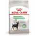 Royal Canin Mini digestive feeding of small dogs with problem gastrointestinal tract 1 kg - Buy Online on GoSupps.com