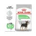 Royal Canin Mini digestive feeding of small dogs with problem gastrointestinal tract 1 kg - Buy Online on GoSupps.com